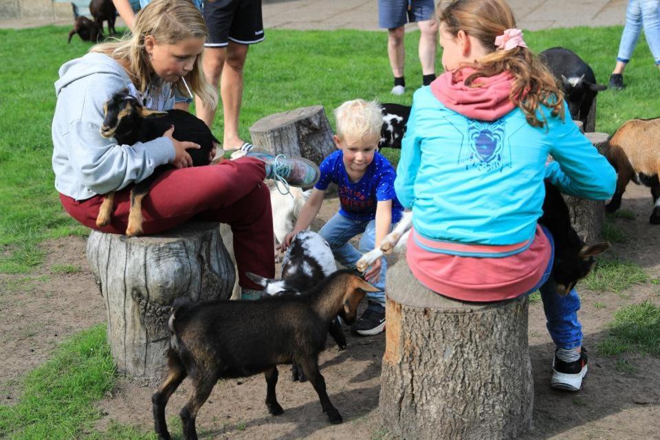 Huisje 86 - vakantiepark 't Hooge Holt Gramsbergen Buitenkant foto